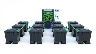 Alien Rain 12 Pot 30L Black Series