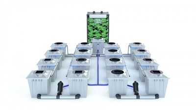 Alien RDWC 16 Pot 20L PRO Silver Series