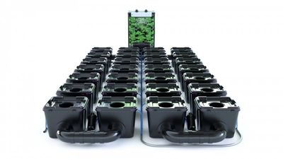 Alien RDWC Pro 28 Pots 34L 4inch Series