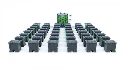 Alien Rain 48 Pot 30L Black Series