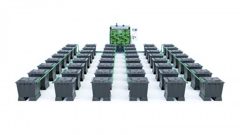 Alien Rain 48 Pot 30L Black Series