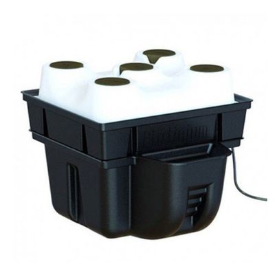 Platinium Aerotop 40x40x31cm 5 plantor