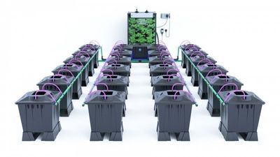 Alien Aero 24 Pot 15L Black Series