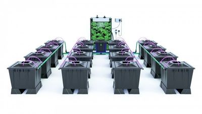 Alien Aero 16 Pot 30L Black Series