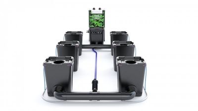 Alien RDWC Pro 6 Pots 55L 4inch Series