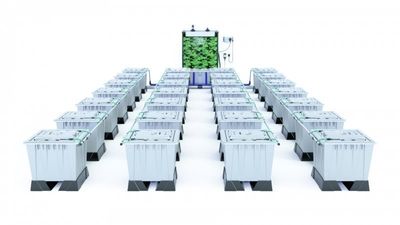 Alien Rain 28 Pot 30L Pro Silver Series