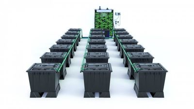 Alien Rain 21 Pot 30L Black Series