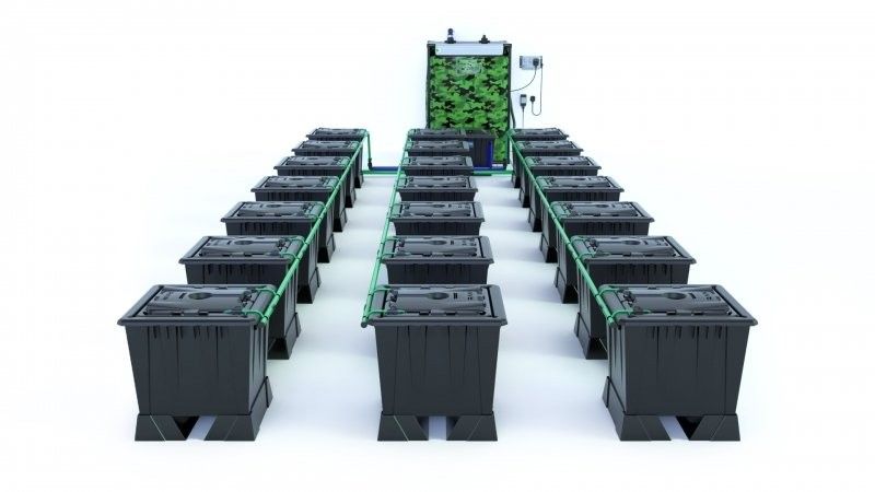 Alien Rain 21 Pot 30L Black Series