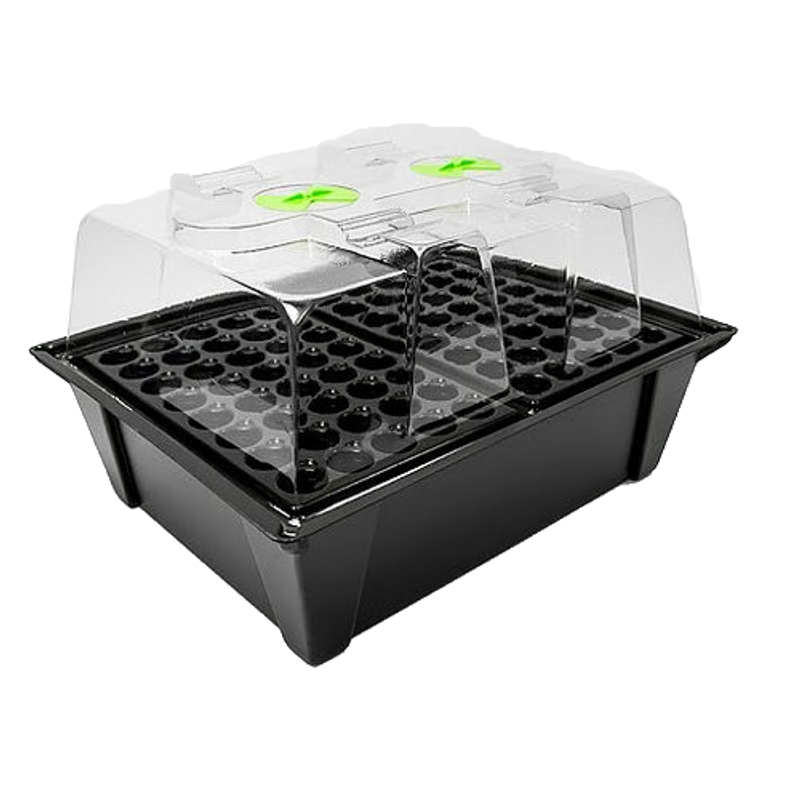 X-Stream Propagator 80 plantor