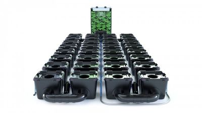 Alien RDWC Pro 32 Pots 34L 4inch Series