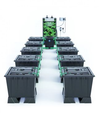 Alien Rain 10 Pot 30L Black Series