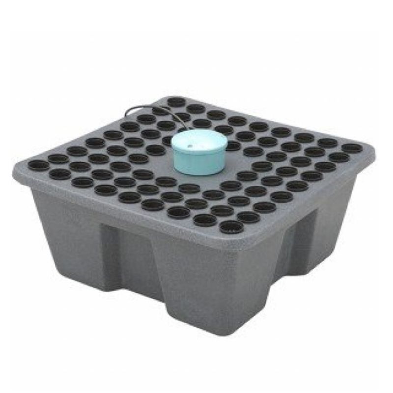 Rainforest för 72 sticklingar