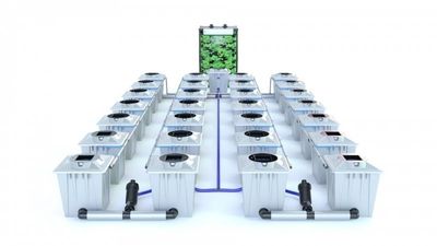 Alien RDWC 28 Pot 20L PRO Silver Series