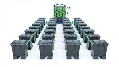 Alien Rain 32 Pot 15L Black Series