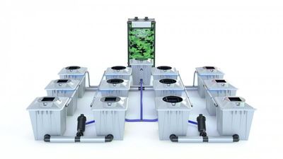 Alien RDWC 12 Pot 20L PRO Silver Series