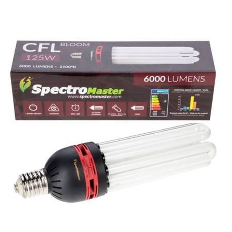 Spectromaster CFL lågenergilampa 125W bloom