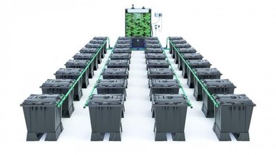 Alien Rain 36 Pot 15L Black Series