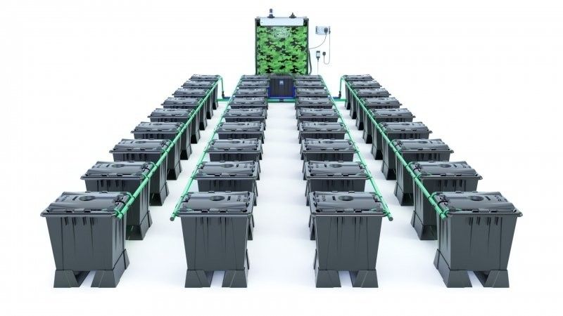 Alien Rain 36 Pot 15L Black Series