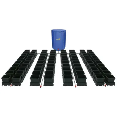 Easy2Grow 80x8.5L/15L System med 750L tank