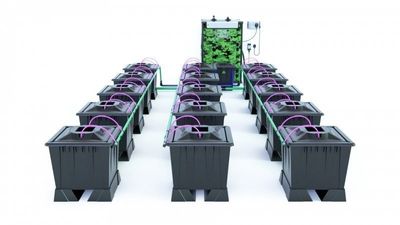 Alien Aero 15 Pot 30L Black Series