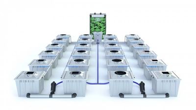 Alien RDWC 24 Pot 36L PRO Silver Series