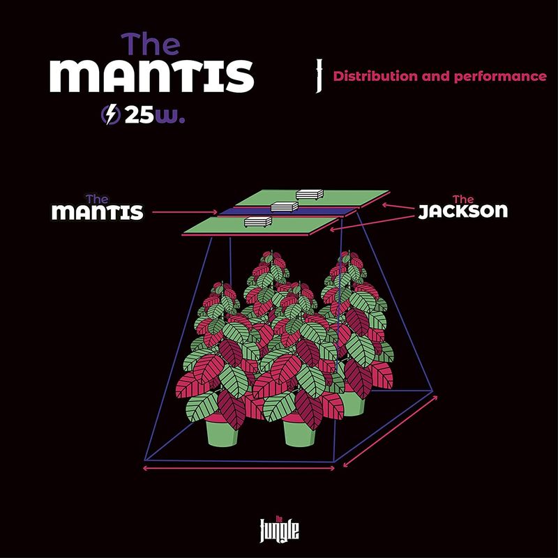 The Jungle LED - The Mantis 25W UV