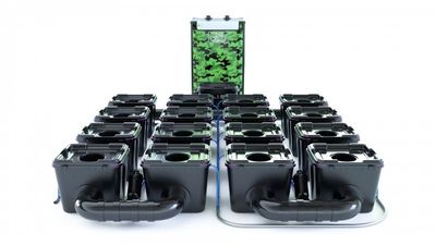 Alien RDWC Pro 16 Pots 34L 4inch Series