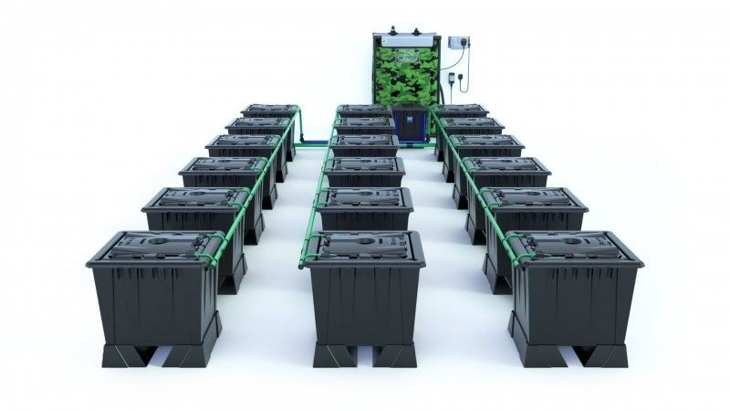 Alien Rain 18 Pot 30L Black Series