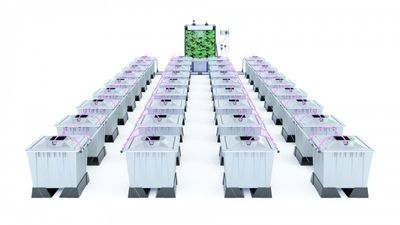 Alien Aero 36 Pot 30L Pro Silver Series