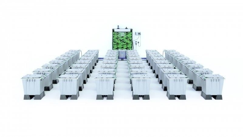 Alien Rain 48 Pot 15L Pro Silver Series