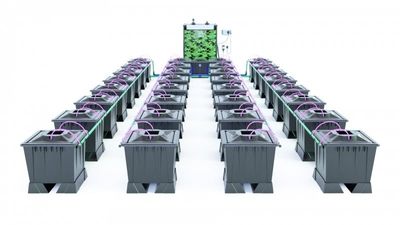 Alien Aero 32 Pot 30L Black Series