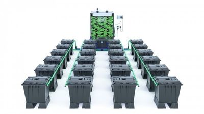 Alien Rain 24 Pot 15L Black Series