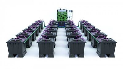 Alien Aero 24 Pot 30L Black Series