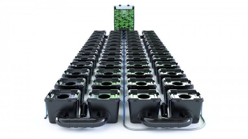 Alien RDWC Pro 48 Pots 34L 4inch Series