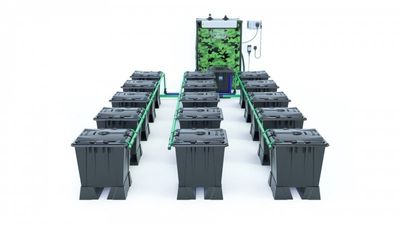 Alien Rain 15 Pot 15L Black Series