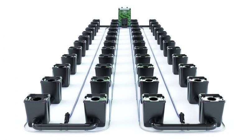 Alien RDWC Pro  48 Pots 55L 4inch Series