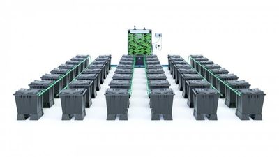 Alien Rain 48 Pot 15L Black Series