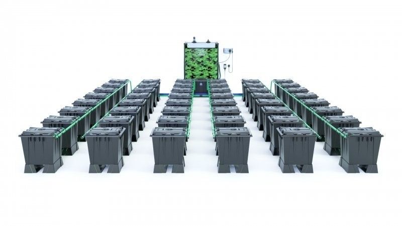 Alien Rain 48 Pot 15L Black Series