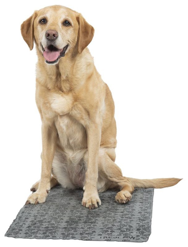 HUNDFILT ABSORBERANDE  43X66 CM