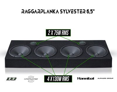 Sylvester Raggarplanka m2 65 & Slutsteg