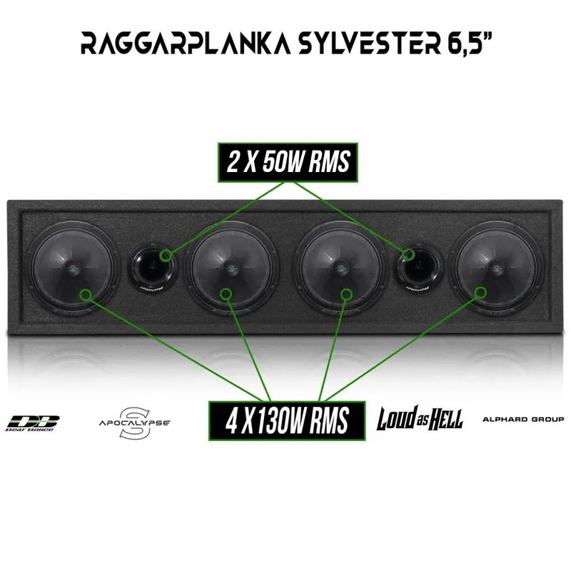 Sylvester Raggarplanka 65 & Slutsteg