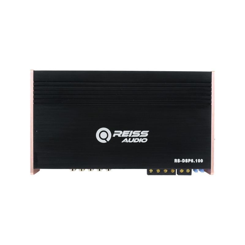 Reiss RS-DSP6.100