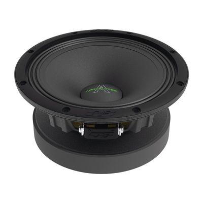 Deaf Bonce Arnold 6,5+