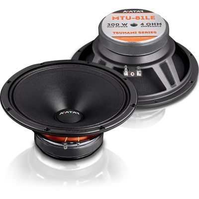 Avatar PA Box 4x8" LOUD AS HELL planka v2