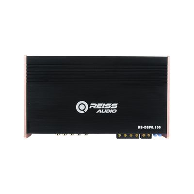 Reiss RS-DSP6.100