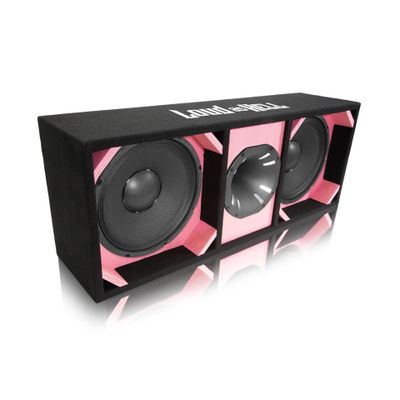 2x12" PA12/4 Pro låda med Terror Horn