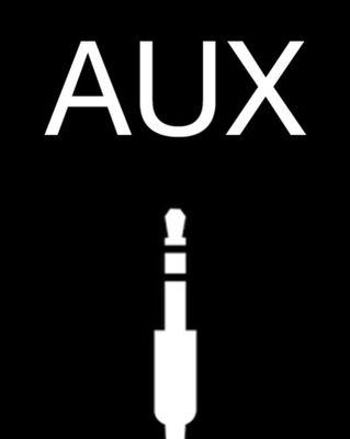 BMW AUX input