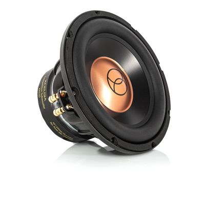 XXS10 10