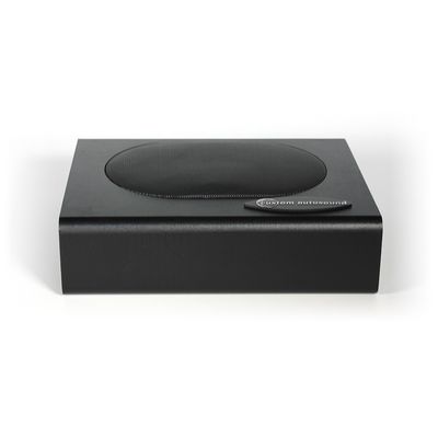 Custom Autosound Undercover I