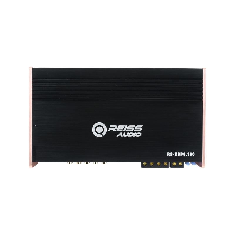 Reiss RS-DSP6.100